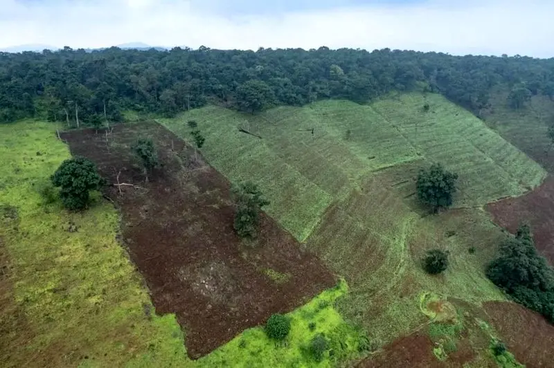 تصاویر حیات وحش 2025