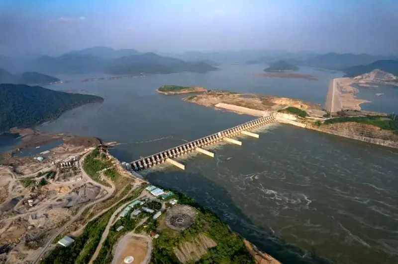 تصاویر حیات وحش 2025