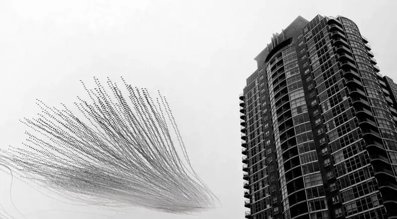 تصاویر حیات وحش 2025