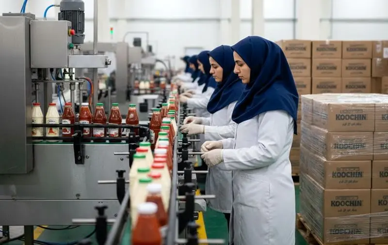 کارخانه خط تولید سس