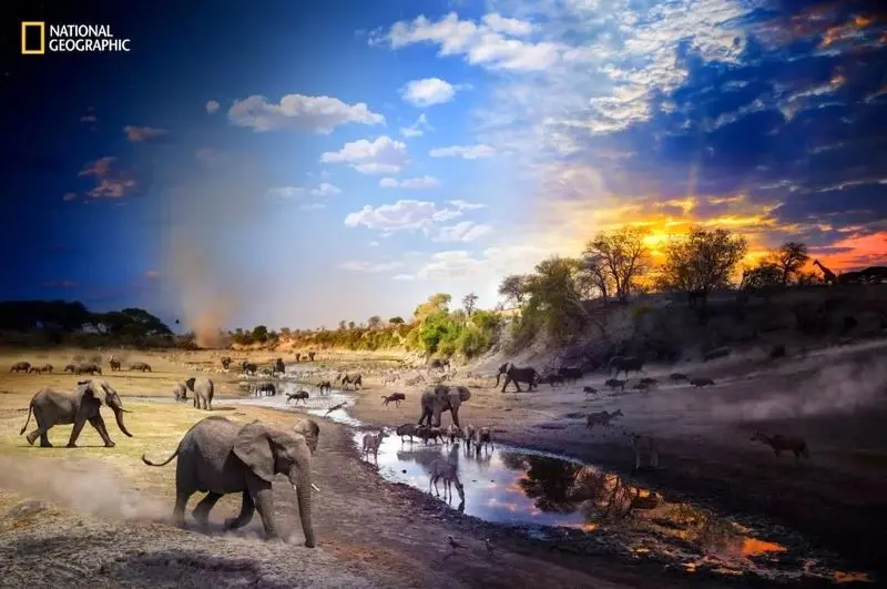 تصاویر نشنال جئوگرافیک