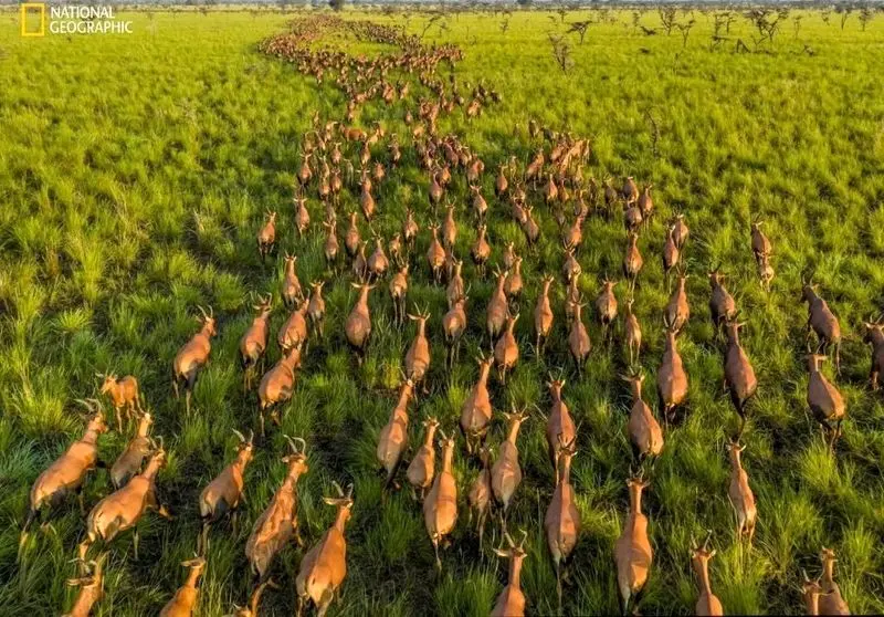 تصاویر نشنال جئوگرافیک