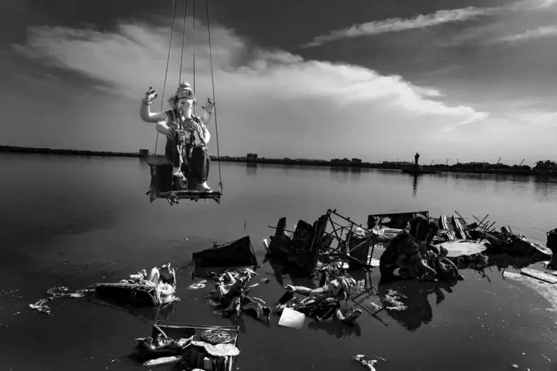 تصاویر حیات وحش 2025