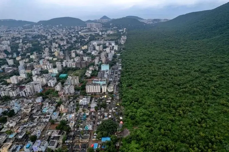 تصاویر حیات وحش 2025