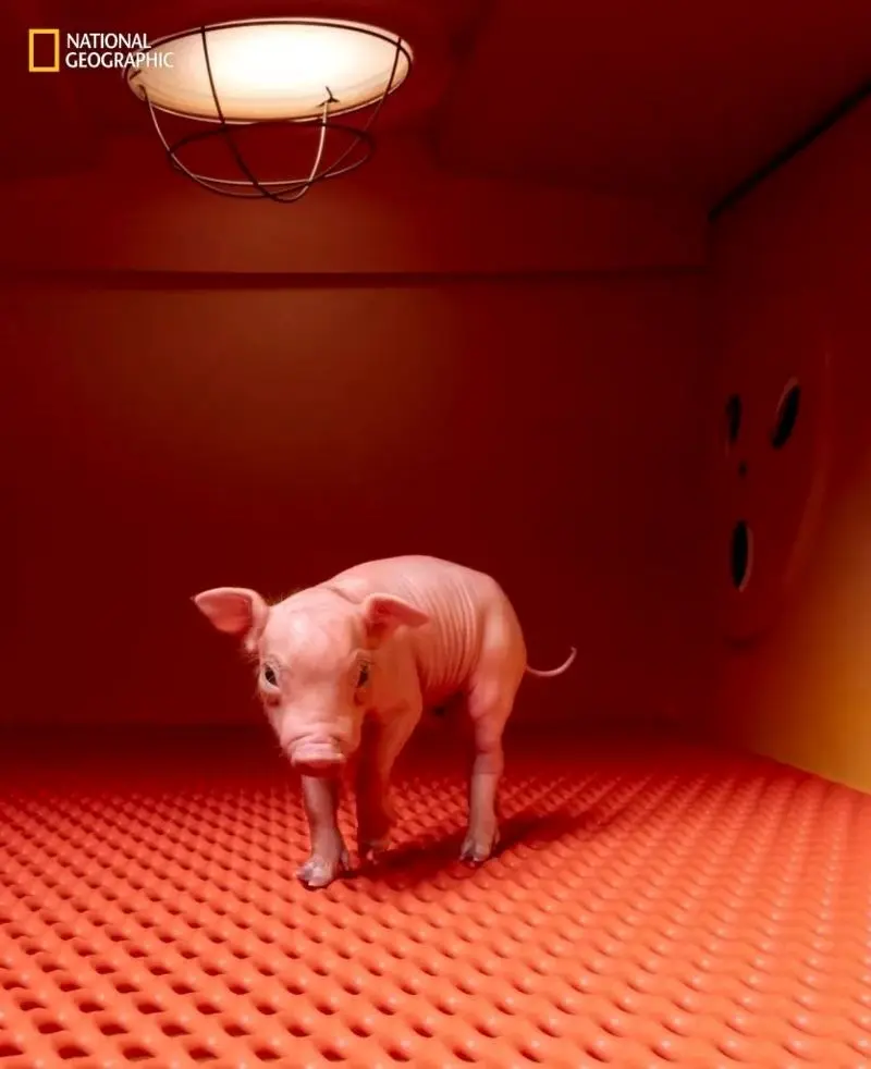 تصاویر نشنال جئوگرافیک