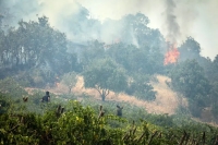 ایلیوشین هم موفق نشد، برای نجات هیرکانی از جهان کمک بخواهید!