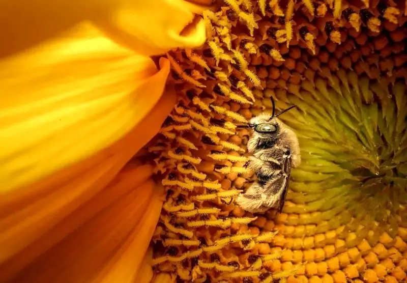 تصاویر نشنال جئوگرافیک