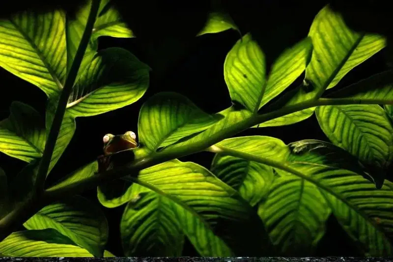 تصاویر حیات وحش 2025