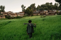 تصاویر؛ در دل شورش فانو