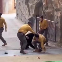 حمله وحشتناک خرس به نگهبان پس از اجرای نمایشی در چین