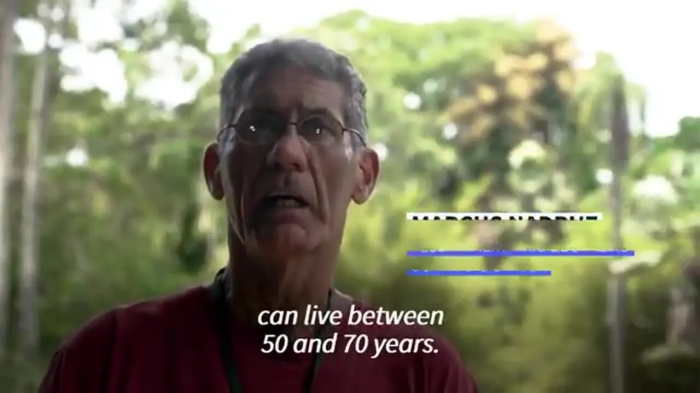 درختانی که در 65 سالگی شکوفه دادند