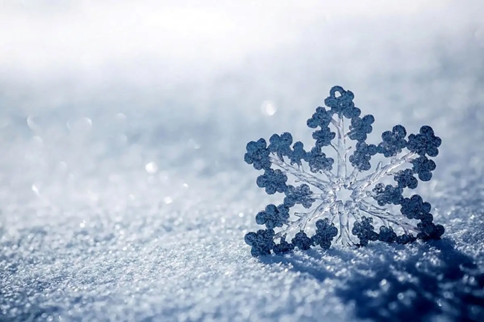 تهران یخبندان می‌شود