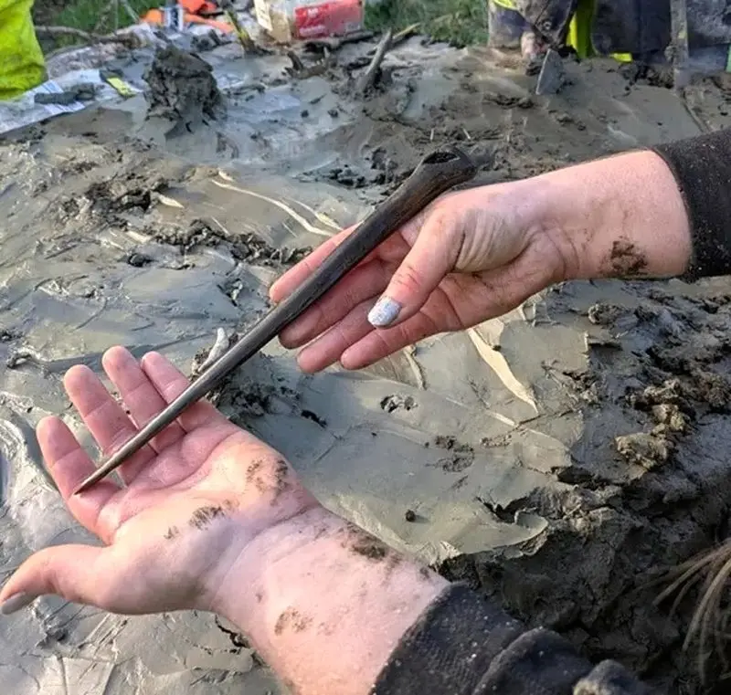 قبر سگ 5000 ساله