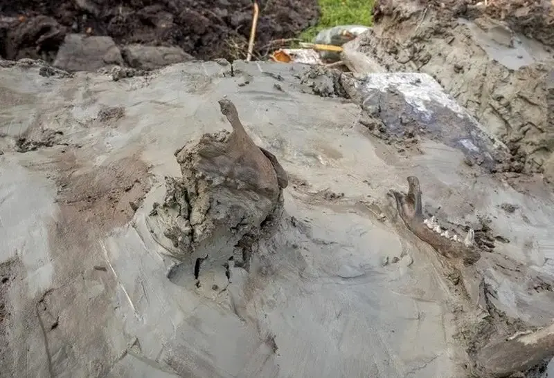 قبر سگ 5000 ساله