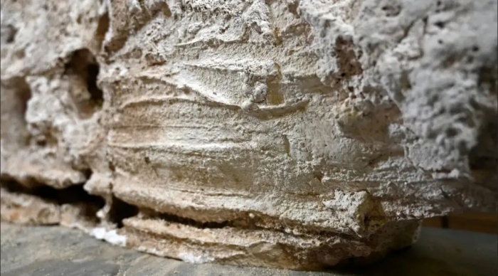 لمس آخر؛ اثر انگشت زندگان بر پیکر مردگان پس از 18 قرن