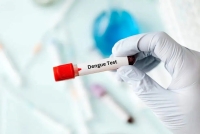 زنگ خطری از جنوب/ افزایش 12برابری مبتلایان تب دنگی