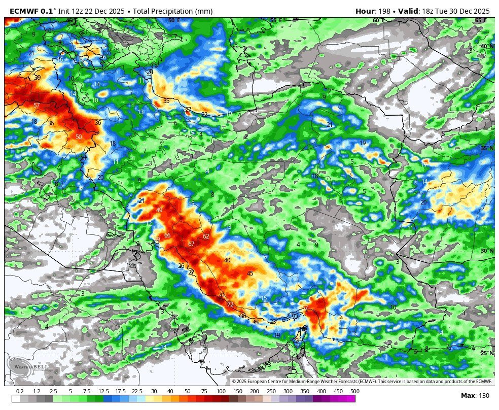 بارش گسترده برف و باران در تمام 31 استان ایران/ دی‌ماه پربارش از راه رسید