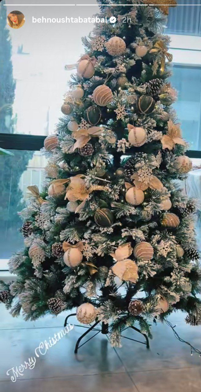 photo_2025-12-25_21-07-00