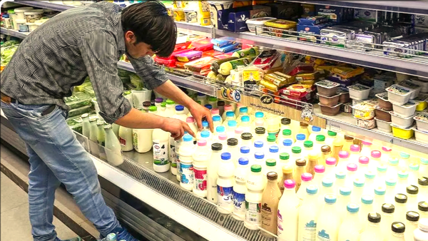 لبنیات ارزان به بازار می‌آید+ قیمت