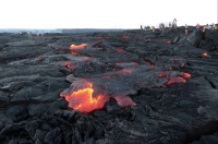 آتش‌فشان هم حریف این میکروب‌های سمج نشد!