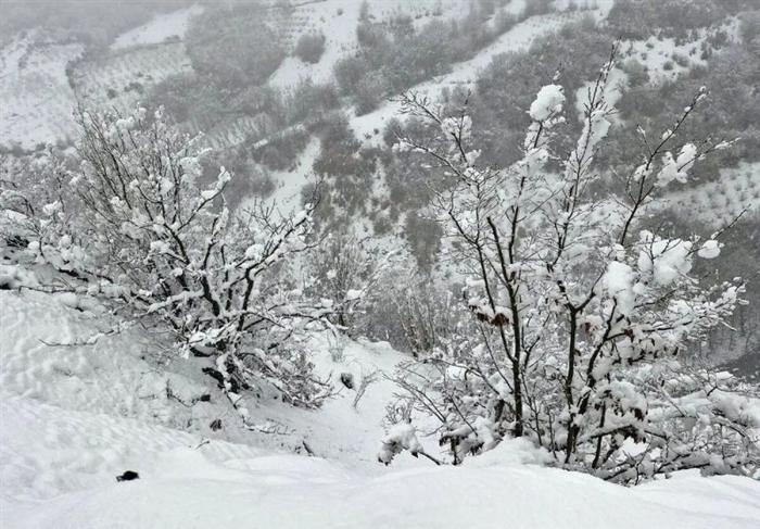 چشم تهرانی‌ها به برف روشن می‌شود/ پیش بینی 65 سانتی‌متر برف طی 5 روز آینده
