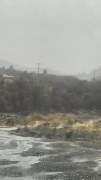 سیلاب گسترده در کالیفرنیا در پی بارش بی سابقه در 50 سال گذشته