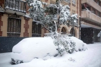 از شایعه تا واقعیت، بارش 60 سانتیمتری برف در تهران صحت دارد؟