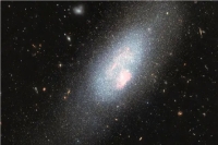 وقتی خرس آسمانی با غول‌های ستاره‌ای ملاقات می‌کند