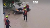 نجات گربه‌ها و سگ‌ها پس از سیل در جنوب اسپانیا
