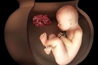 کشف دو جنین 6500 ساله در ایران؛ راز آیین عجیب تدفین ایرانیان باستان