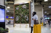 قیمت جدید بلیط هواپیما