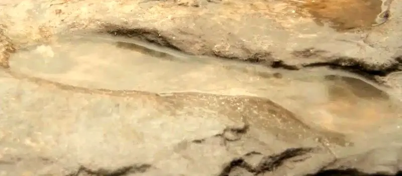  ردپای انسان