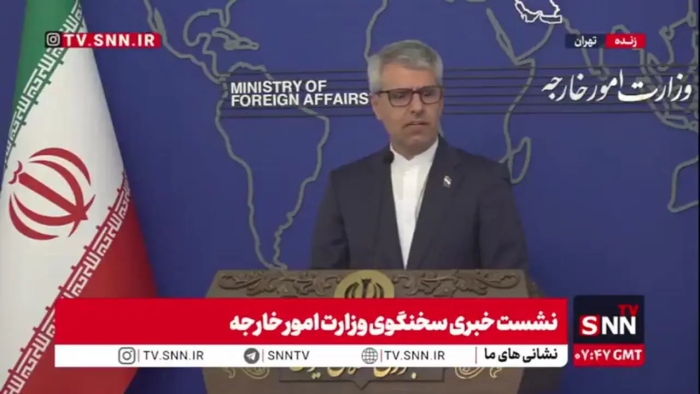 بقایی: در نشست مسقط وارد جزییات نشدیم