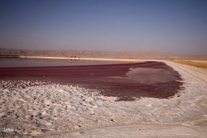 بارندگی‌های به داد کدام تالاب‌ها رسید؟