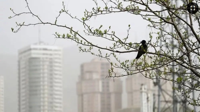 شاخص آلودگی هوای تهران امروز چهارشنبه 29 بهمن / پایتخت در محاصره ذرات معلق