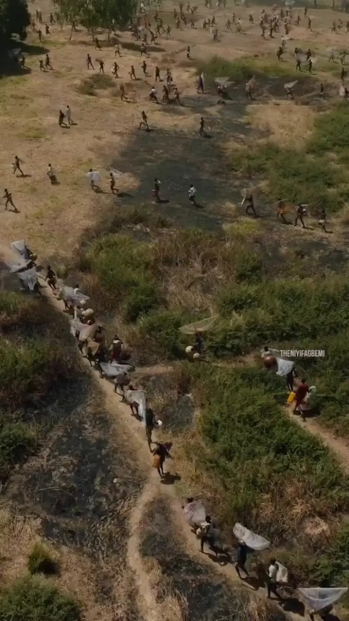 هجوم صدها نفر به رودخانه برای صید بزرگترین ماهی