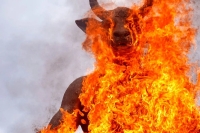 بت بعل چرا در ایران ترند شد؟