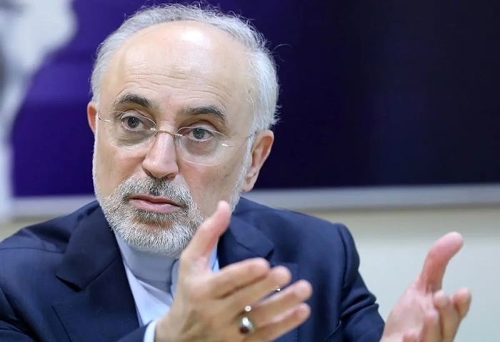 صالحی: همه قائم به ایران هستیم/ نگذاریم این ستون بشکند، همه زیان خواهیم دید