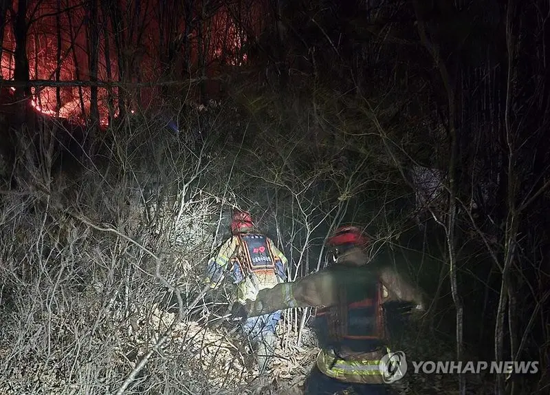 photo_2026-02-25_17-39-57