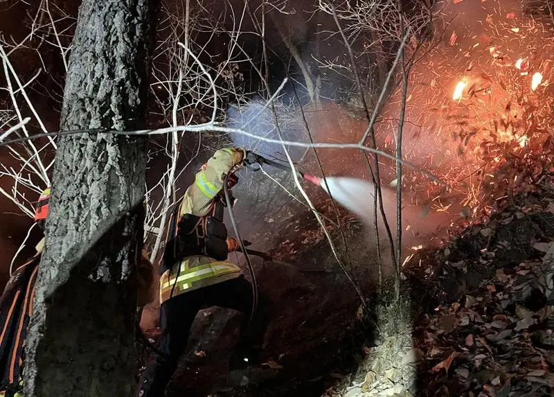 photo_2026-02-25_17-39-55