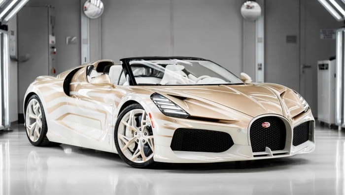 «مروارید نایاب» بوگاتی رونمایی شد