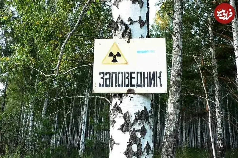 5343302