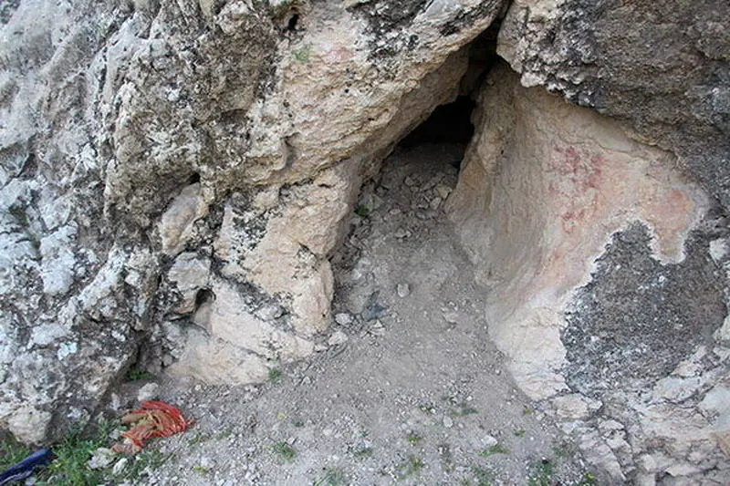 حفاری جویندگان