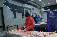 قیمت جدید مرغ در بازار
