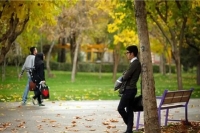 1.2 میلیون ایرانی وارد تجرد قطعی شده‌اند
