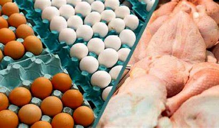 قیمت مرغ و تخم‌مرغ در بازار | این ماهی به کیلویی یک میلیون رسید!