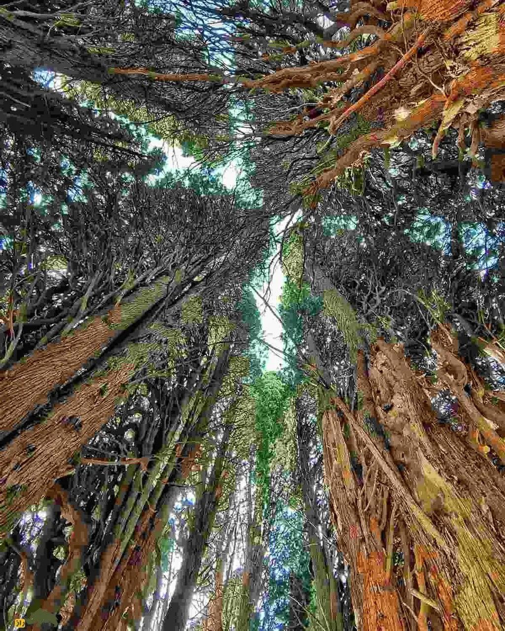 5347192