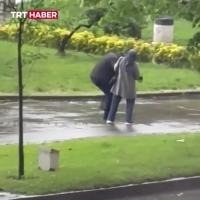 حمله یک کلاغ به رهگذران