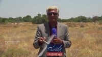 ویدئو؛ لاشه پهپاد اسراییلی در هرمزگان‌