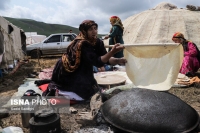 شرط مهم بیمه رایگان زنان روستایی/ مستمری بیمه‌شدگان چقدر افزایش یافت؟